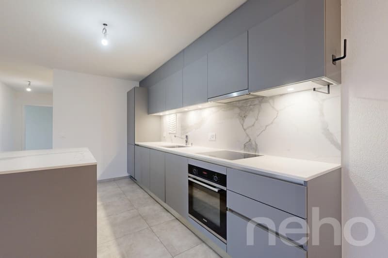 Orbe magnifique appartement avec jardin (7)