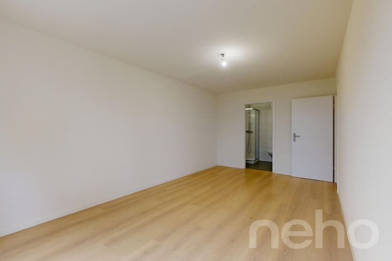 Orbe magnifique appartement avec jardin (11)
