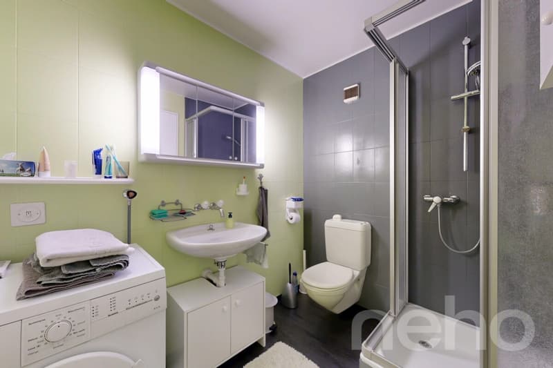 Familienwohnung mit 5,5 Zimmern und 157 m² mit Kamin und Garage (10)