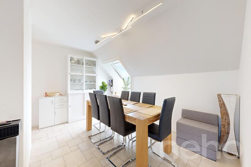 Habiter avec charme : appartement mansardé lumineux avec terrasse (2)