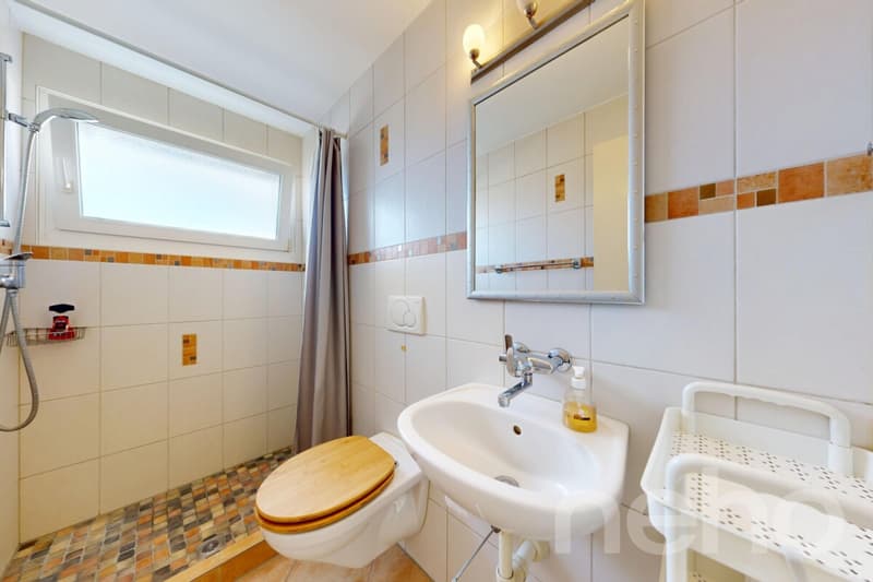 Habiter avec charme : appartement mansardé lumineux avec terrasse (11)