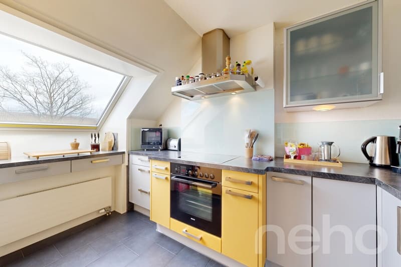 Habiter avec charme : appartement mansardé lumineux avec terrasse (5)