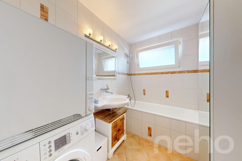 Habiter avec charme : appartement mansardé lumineux avec terrasse (10)