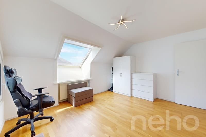 Habiter avec charme : appartement mansardé lumineux avec terrasse (12)