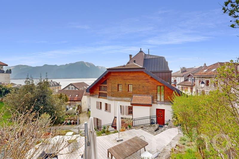 Villa di lusso per famiglie con spa e vista panoramica a Montreux (3)
