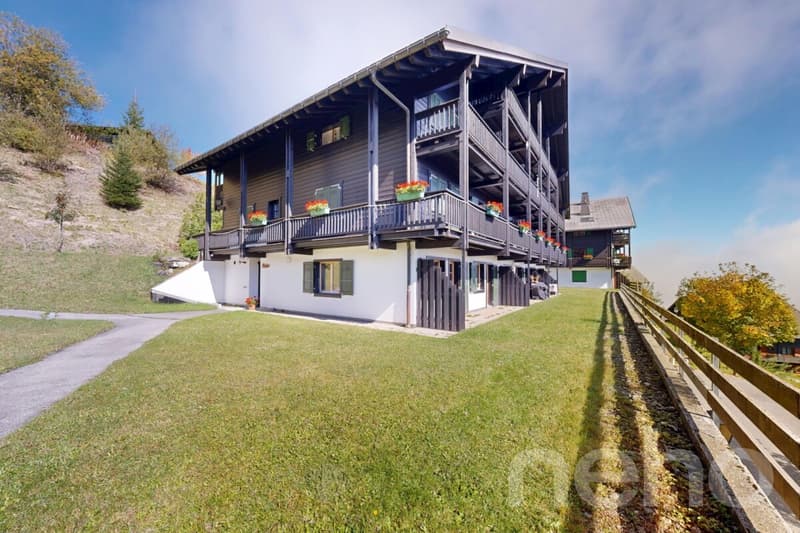 Appartamento di 3 camere di fronte alle Dents du Midi, ai piedi delle piste! (11)