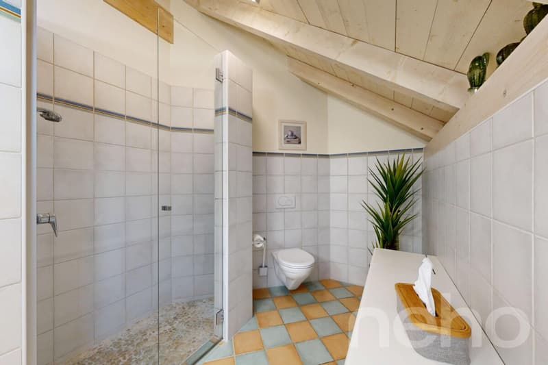 splendide Villa à Thielle (12)