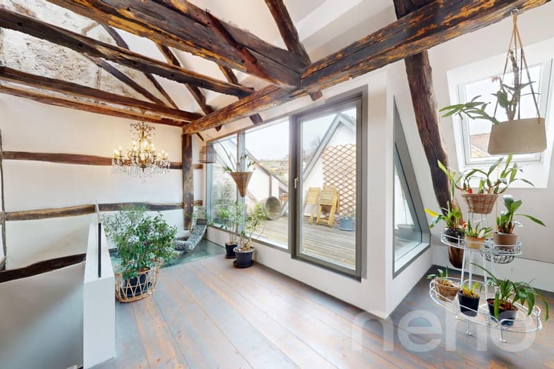 Einzigartiges Bijou mit modernem Wohnkomfort und grosser Terrasse (5)