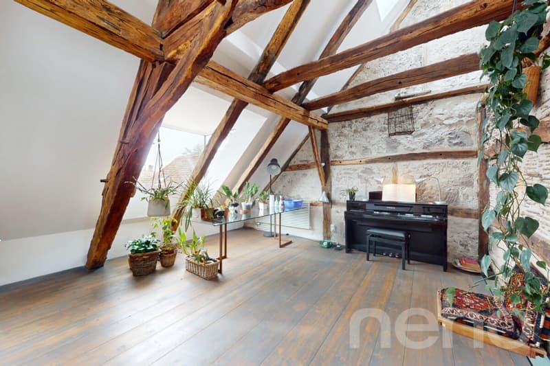 Einzigartiges Bijou mit modernem Wohnkomfort und grosser Terrasse (3)