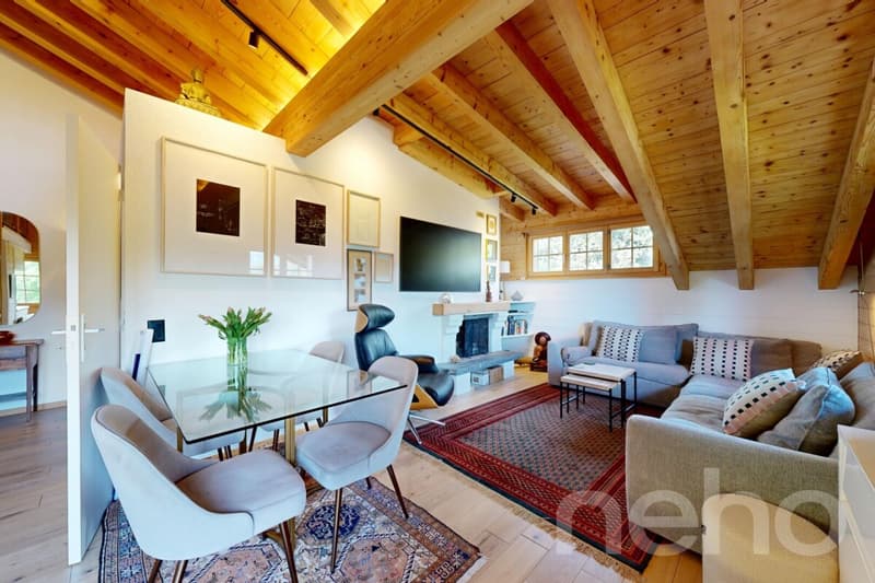 Bel appartement avec mezzanine et vue panoramique ? Chesières, Villars (3)