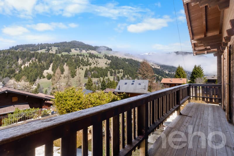Exklusiv: Schönes 5-Zimmer-Chalet, kürzlich renoviert (12)