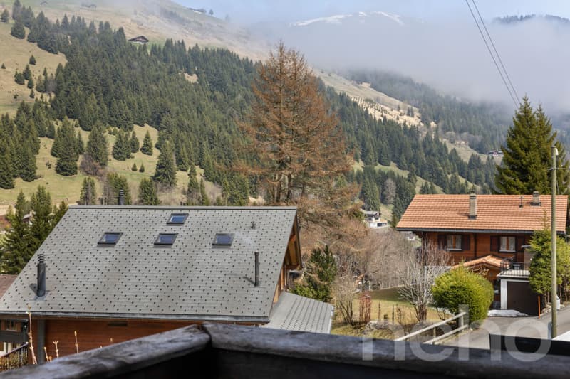 Exklusiv: Schönes 5-Zimmer-Chalet, kürzlich renoviert (9)