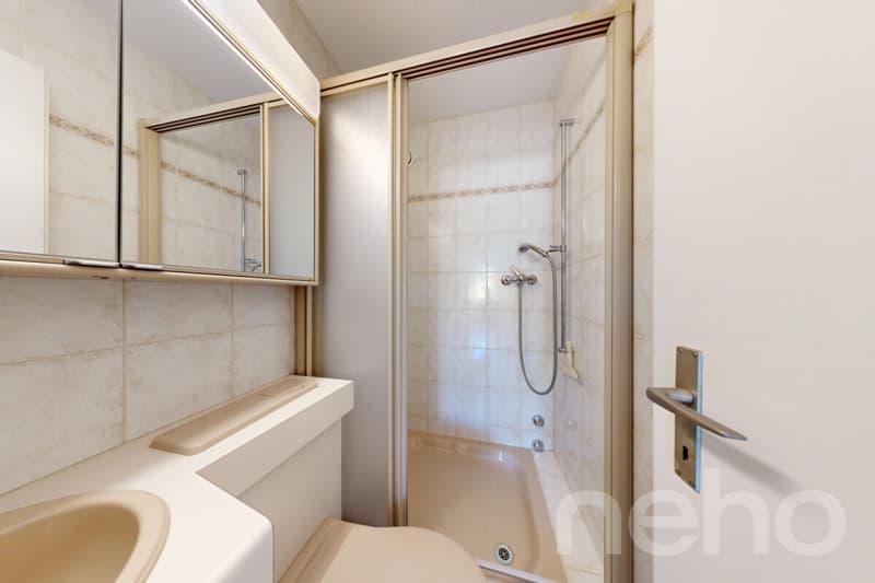 3.5-Zimmer-Wohnung in Dietikon mit Fernsicht und Potenzial (8)