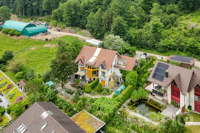 Multi-generation house with unobstructable far-reaching views in a quiet location (1)