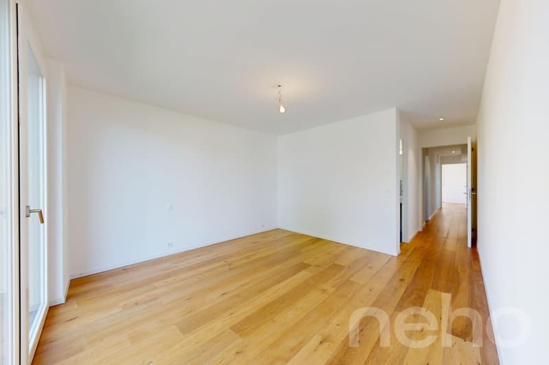 Magnificent 4.5-room apartment with plenty of light and large terraces (5)
