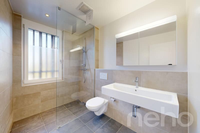 Magnificent 4.5-room apartment with plenty of light and large terraces (7)