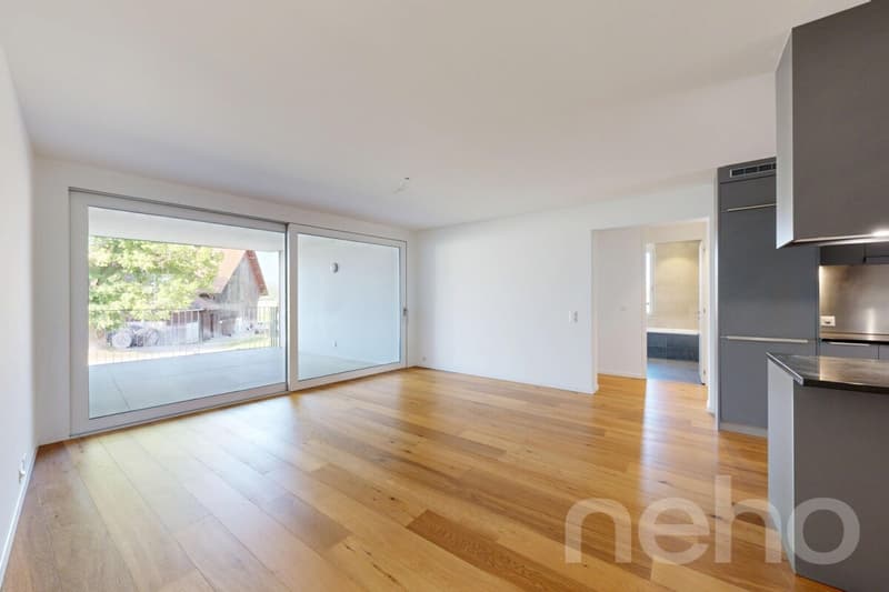 Magnificent 4.5-room apartment with plenty of light and large terraces (8)