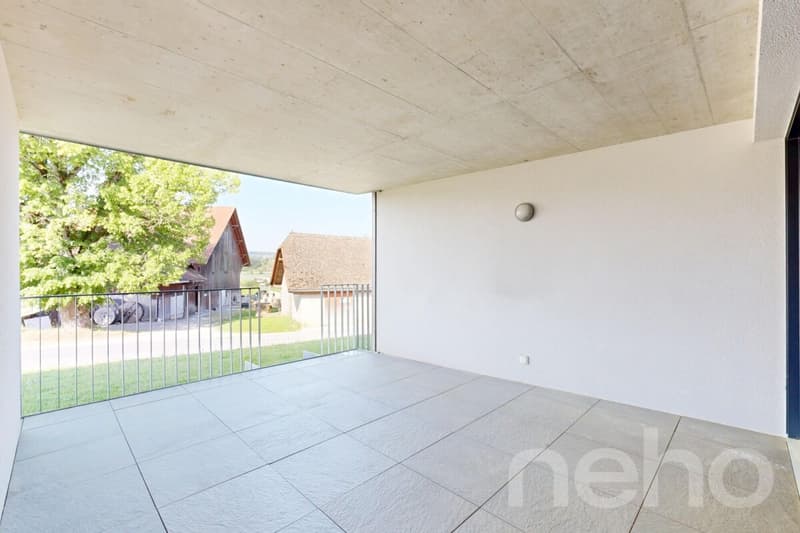 Magnificent 4.5-room apartment with plenty of light and large terraces (10)