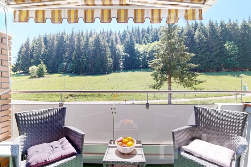 Charmant appartement de 2.5 pièces avec balcon à Torgon (11)