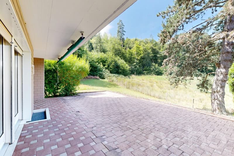 5.5 Zimmer-Wohnung mit beeindruckender Sonnenterrasse in Turgi (9)