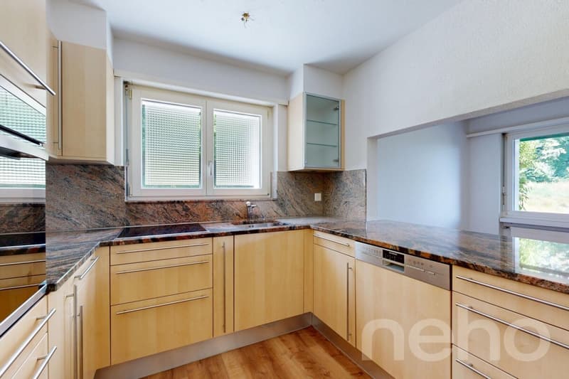 5.5 Zimmer-Wohnung mit beeindruckender Sonnenterrasse in Turgi (3)