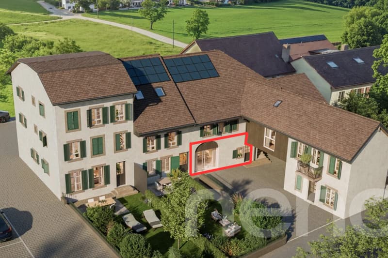 Magnifique 4,5 pièces avec grande terrasse et jardin privatif (2)
