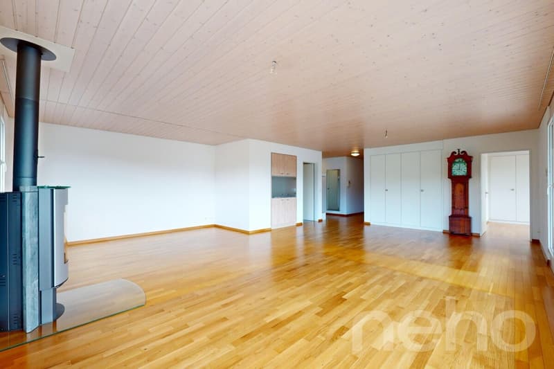 Un sogno di casa su un livello: appartamento in attico con accesso tramite ascensore (4)