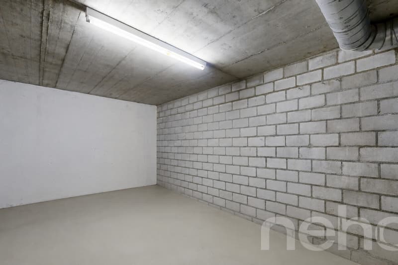 Gepflegte 3.5 Zimmer Wohnung mit Cheminée und Balkon (9)
