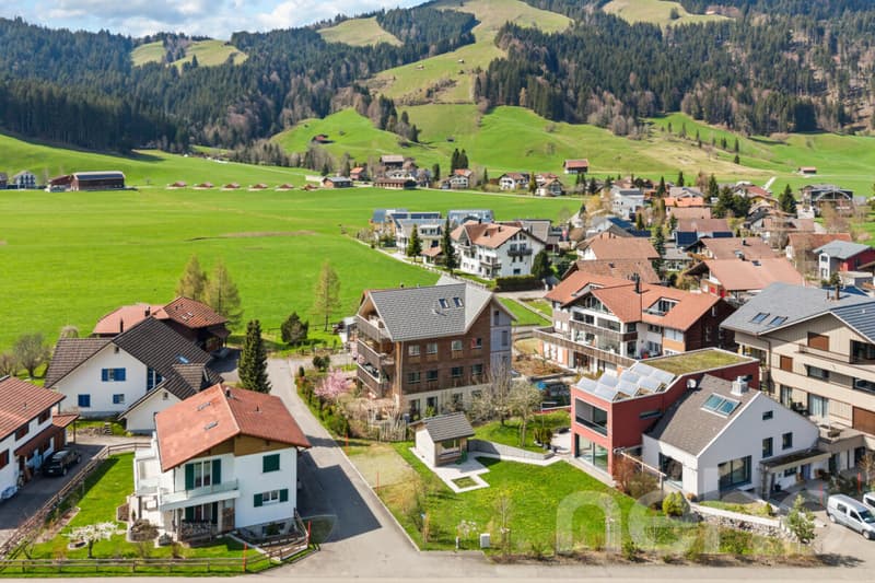 Maisonette en attique de haute qualité avec caractère Alpine Chic (1)