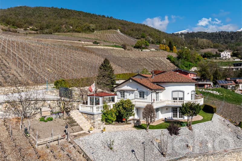 Villa d'exception - Vue panoramique - 3 logements (1)