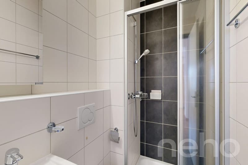 3.5 rooms of high standard with garage box in Bramois (7)