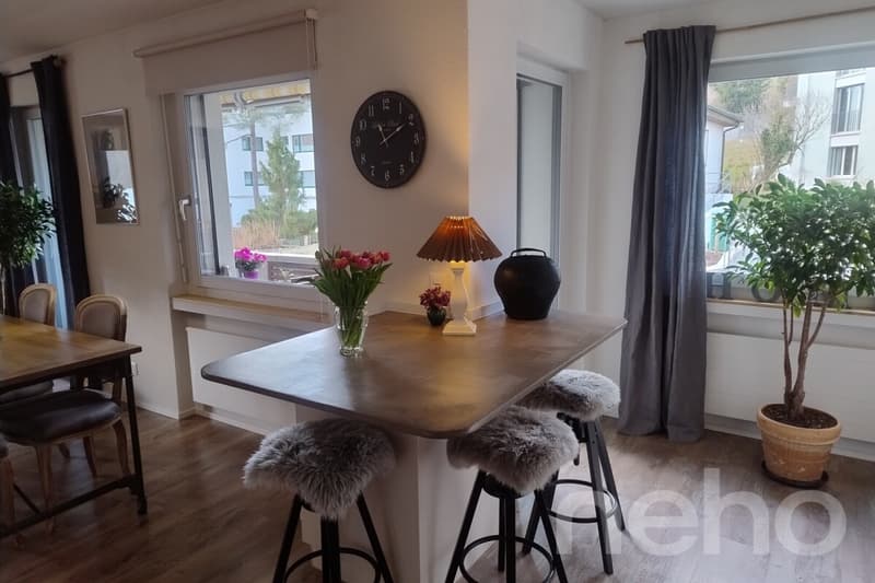 Ruhige 4.5-Zimmer-Wohnung am Fuss des Uetlibergs (5)
