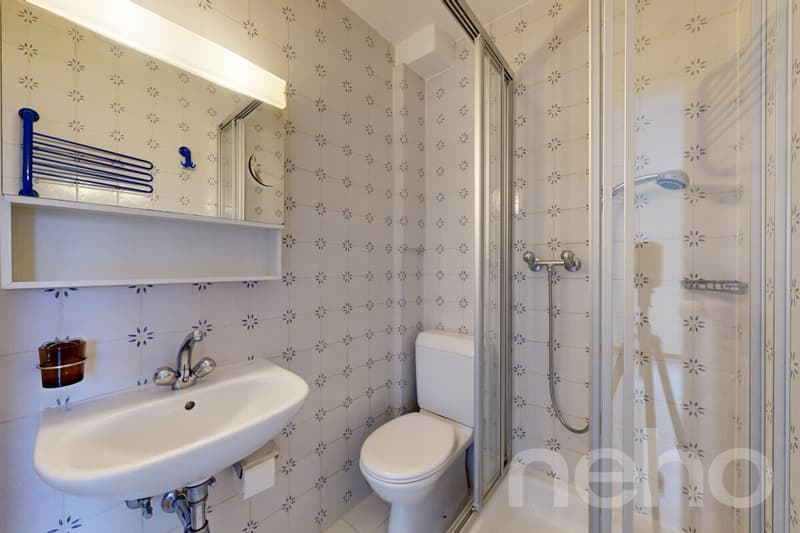 Opportunité rare à saisir - Studio de 24m² à Morges ? exp. Sud-Ouest (7)