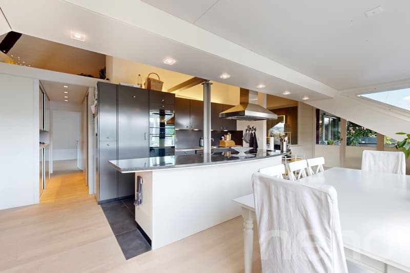 Exclusive 4.5-room attic apartment with a dreamy view of the Rhine (4)
