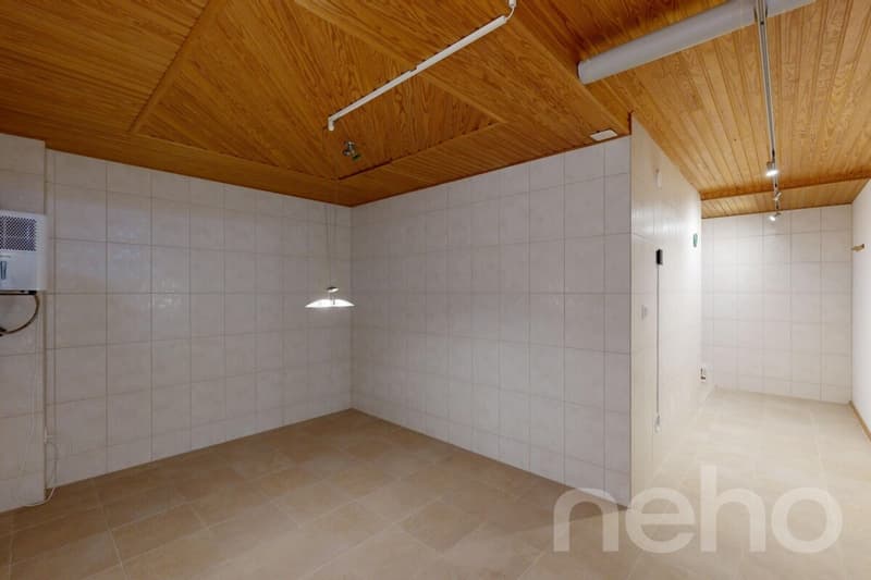 Exclusive living with wellness and fitness area in Derendingen (10)