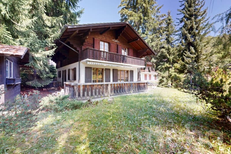 Charming mountain chalet in Gryon (1)