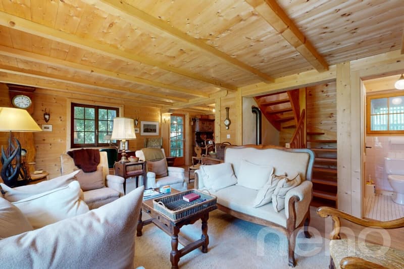 Charming mountain chalet in Gryon (3)
