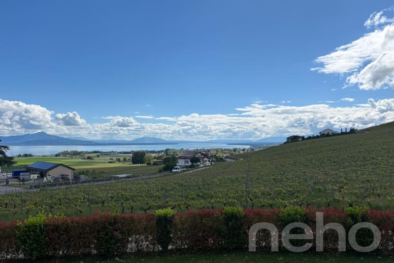 Contemporary house with exceptional volumes and lake and Alpine views (1)