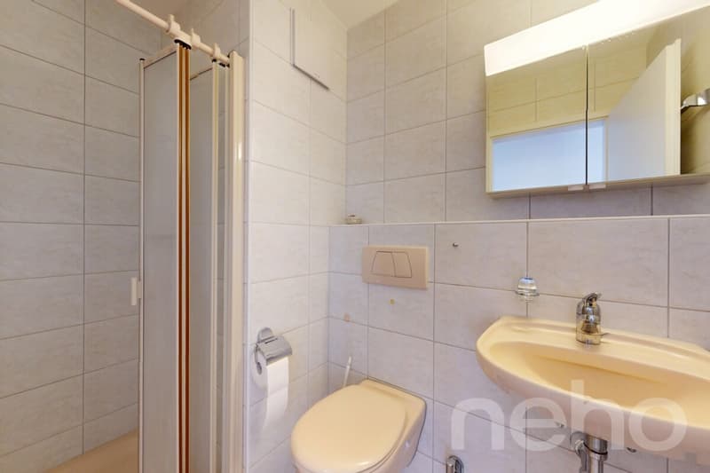 Appartement spacieux 4.5 pièces avec loggia dans un emplacement central et calme (9)