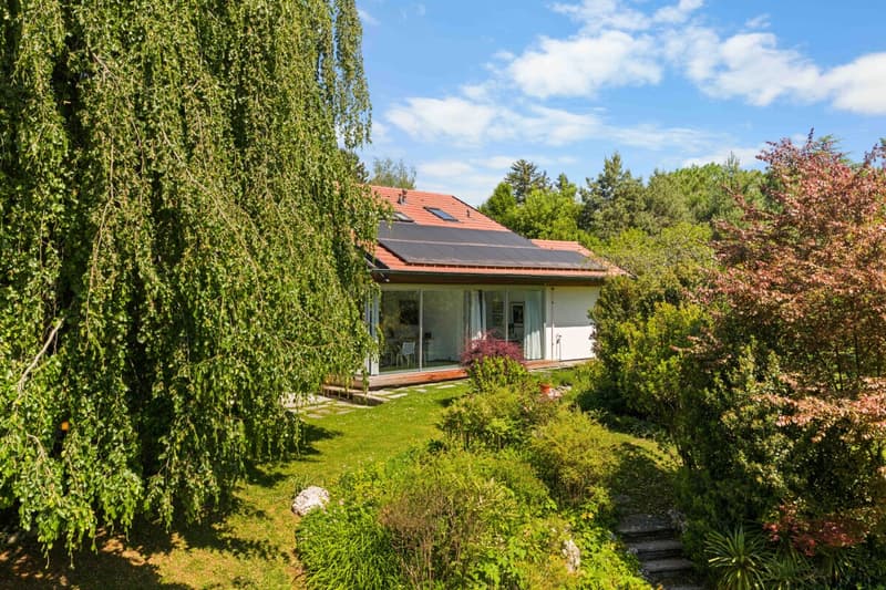 House surrounded by majestic trees (1)