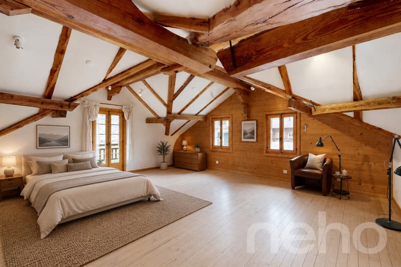 Superbe duplex traversant (2)