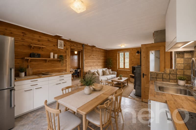Superbe duplex traversant (1)