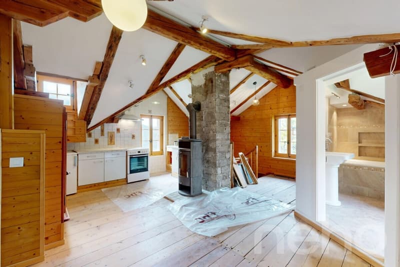 Superbe duplex traversant (11)