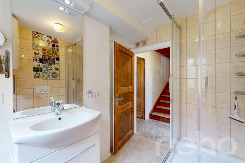 Superbe duplex traversant (9)