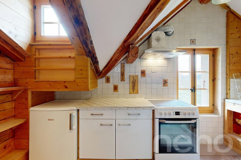Superbe duplex traversant (12)