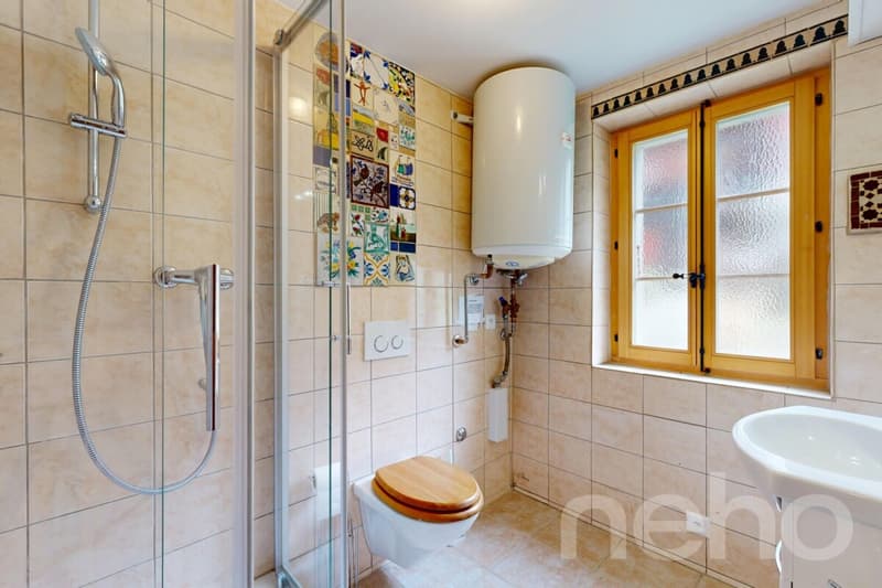 Superbe duplex traversant (8)