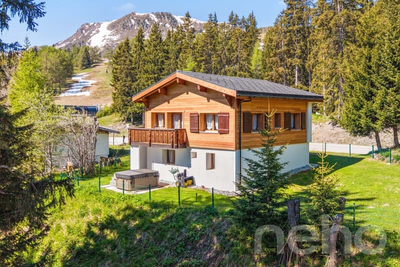Bright chalet with wellness area and direct access to the slopes (1)