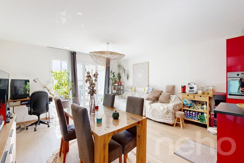 Appartement familial lumineux avec terrasse au coeur d'Epalinges (3)