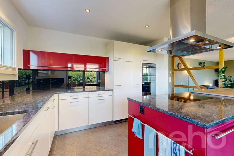 Charming family house with idyllic garden (4)