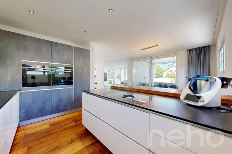 Modern detached single-family house with large garden in Dietikon (9)